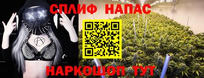 ПСИЛОЦИБИНОВЫЕ ГРИБЫ Дубна